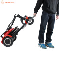 Hot Selling 36V 300W rear brushless motor electric mobility scooter